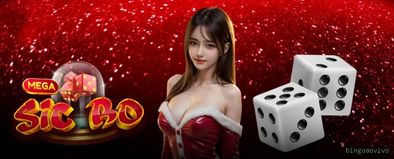 Plataforma completa da bingoaovivo com todos os jogos