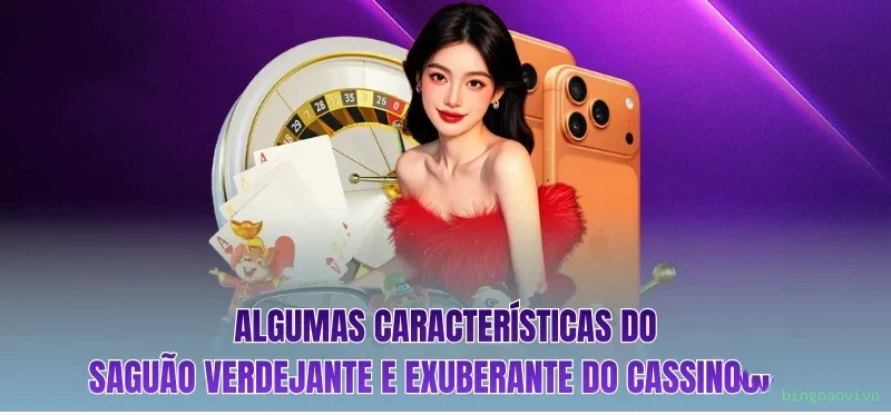 Programa VIP exclusivo da bingoaovivo